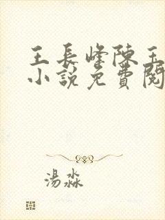 王长峰陈玉娆的小说免费阅读无弹窗