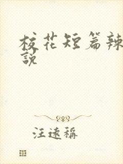 校花短篇辣文小说