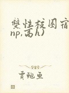 双性校园宿舍(np,高h)