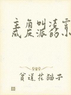 主角叫凌霄穿越成反派的小说