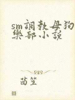 sm调教母狗俱乐部小说