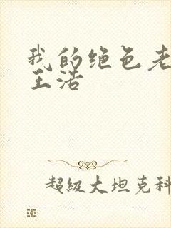 我的绝色老板娘王浩