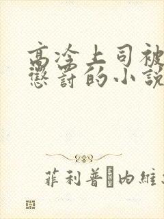 高冷上司被下属惩罚的小说