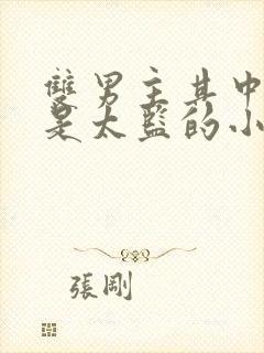 双男主其中一个是太监的小说