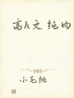 高h文 纯肉