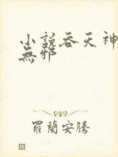 小说吞天神鼎柳无邪