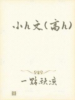 小h文(高h)