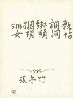 sm捆绑调教美女视频网站