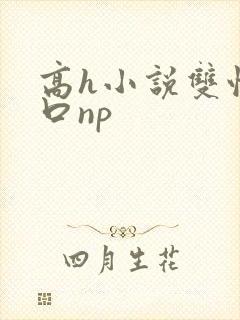 高h小说双性重口np封面