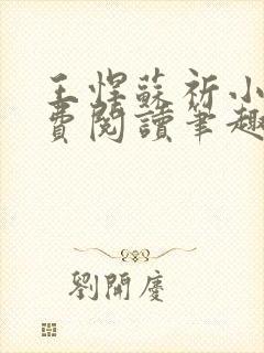 王悍苏祈小说免费阅读笔趣阁最新