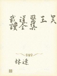 武道医王吴东阅读全集