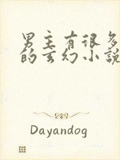 男主有很多女人的玄幻小说封面