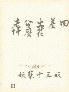 老公出差回来送什么花