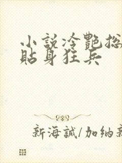 小说冷艳总裁的贴身狂兵