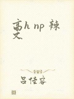 高h np 辣文