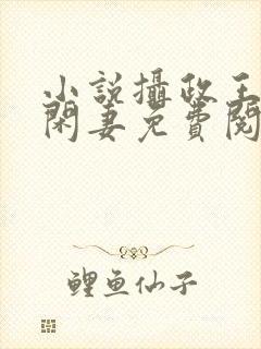 小说摄政王的小闲妻免费阅读封面