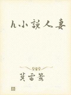 h小说人妻