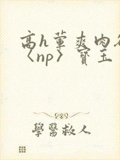 高h荤爽肉欲文〈np〉宝玉