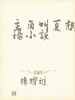 主角叫夏想的官场小说