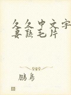 久久中文字幕人妻熟毛片