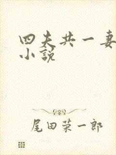 四夫共一妻穿越小说