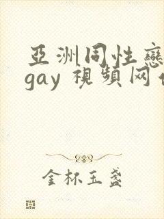 亚洲同性恋男 gay 视频网站封面