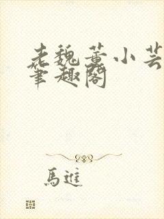 老魏董小芸全文笔趣阁