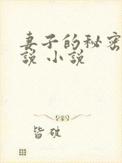 妻子的秘密 小说 小说