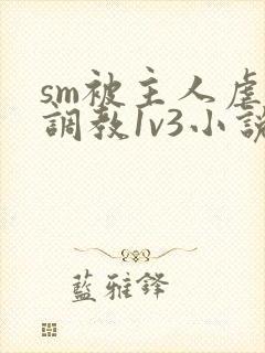 sm被主人虐玩调教1v3小说