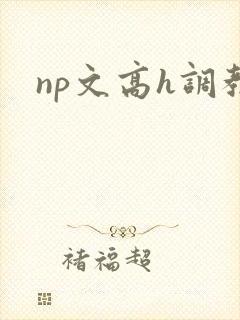 np文高h调教封面