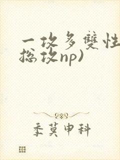 一攻多双性受(总攻np)封面