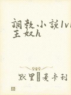 调教小说1v1主奴h