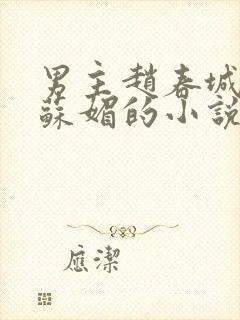男主赵春城女主苏媚的小说