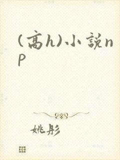 (高h)小说np