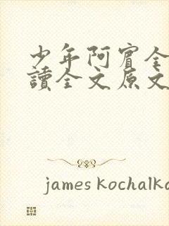 少年阿宾全文阅读全文原文