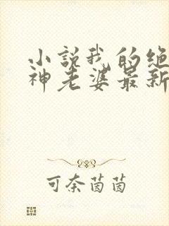 小说我的绝美女神老婆最新章节