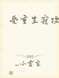 受重生宠攻文