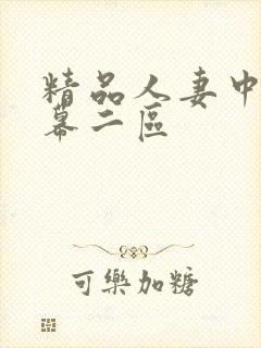 精品人妻中文字幕二区