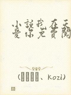 小说我在天堂说爱你免费阅读