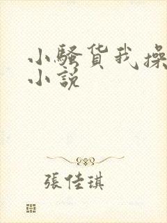 小骚货我操死你小说