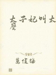 太子妃叫太子什么