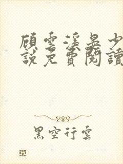 顾云溪晏少虞小说免费阅读最新章节封面