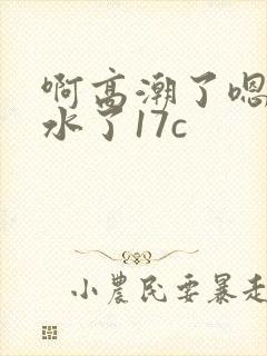 啊高潮了嗯～喷水了17c