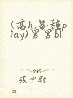 (高h,各种play)男男bl