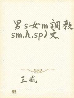 男s女m调教(sm,h,sp)文
