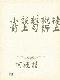 小说离职后我被前上司缠上了免费阅读全文