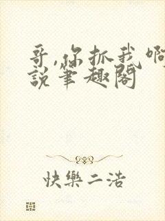 哥,你抓我啊小说笔趣阁封面