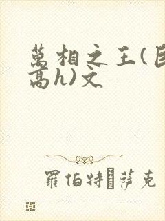 万相之王(巨肉高h)文