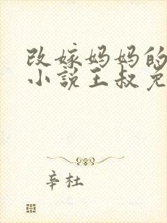 改嫁妈妈的悲惨小说王叔免费阅读封面