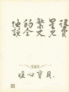 他的繁星很甜小说全文免费阅读封面